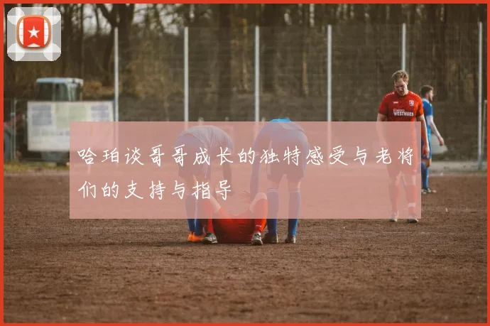 哈珀谈哥哥成长的独特感受与老将们的支持与指导